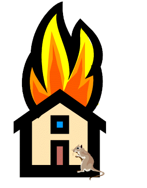 wpe4.gif (11901 bytes)