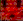 wiz1.gif (1094 bytes)